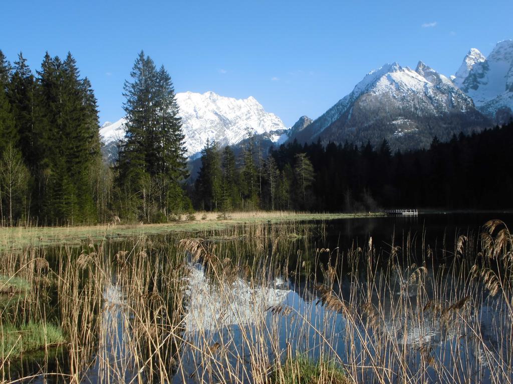 Haus Buchenwald Apartment Ramsau bei Berchtesgaden Ngoại thất bức ảnh