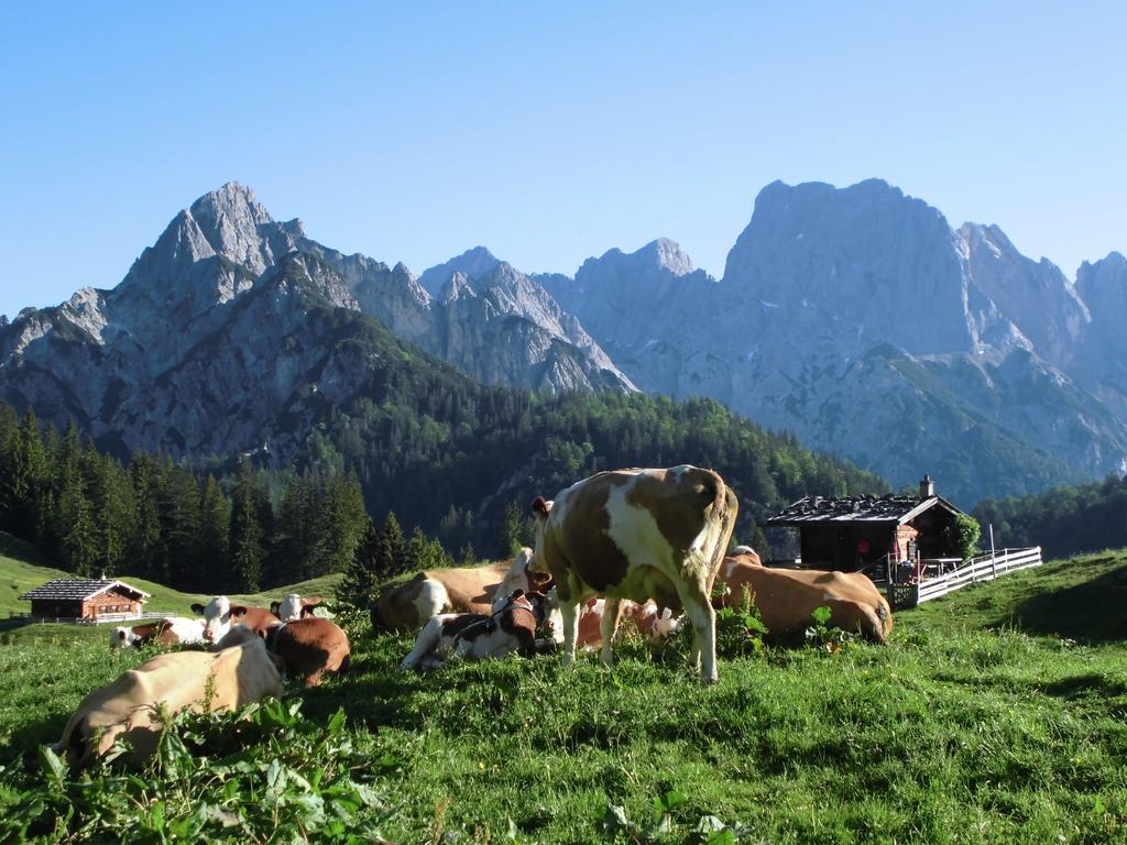 Haus Buchenwald Apartment Ramsau bei Berchtesgaden Ngoại thất bức ảnh